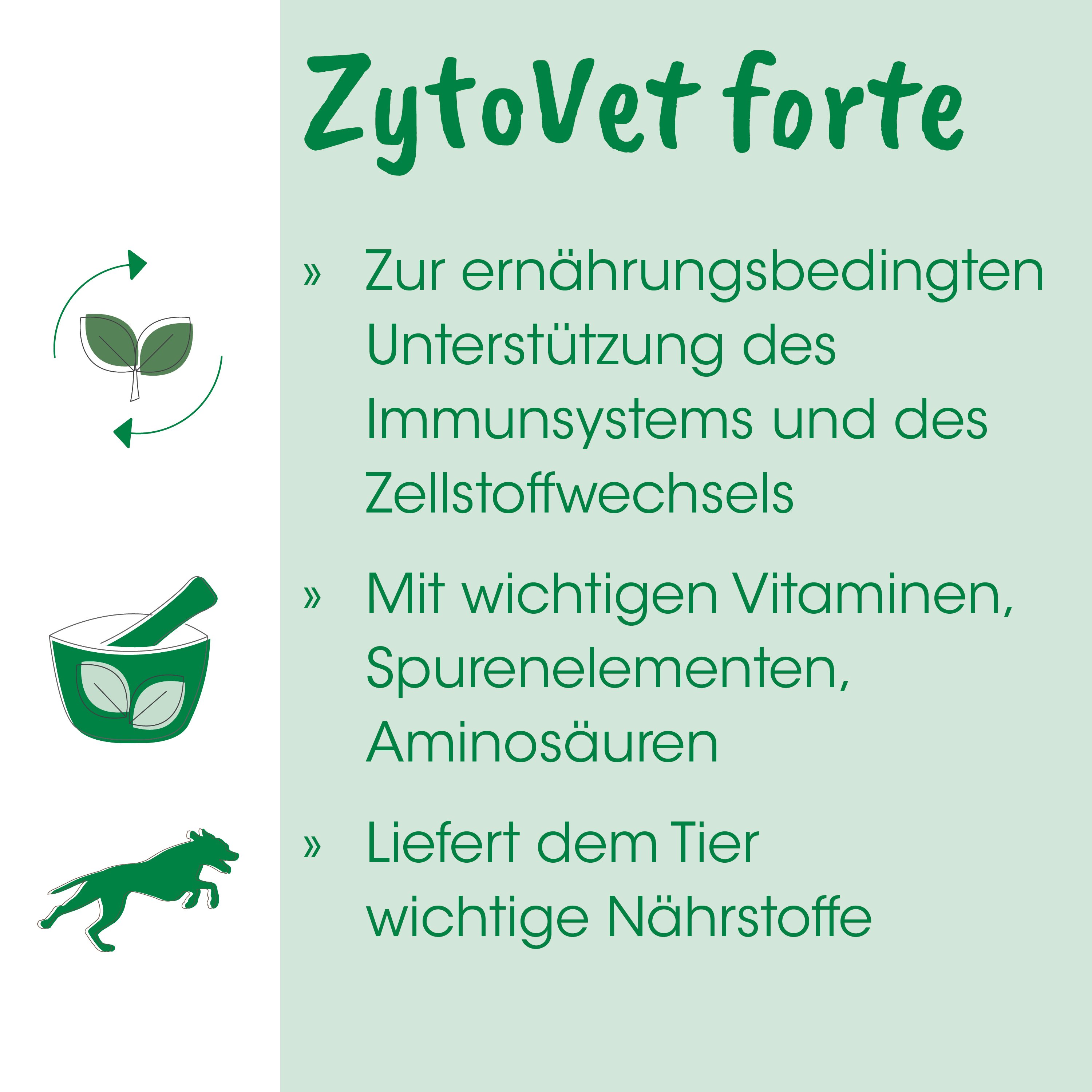 ZytoVet forte 100 Kapseln