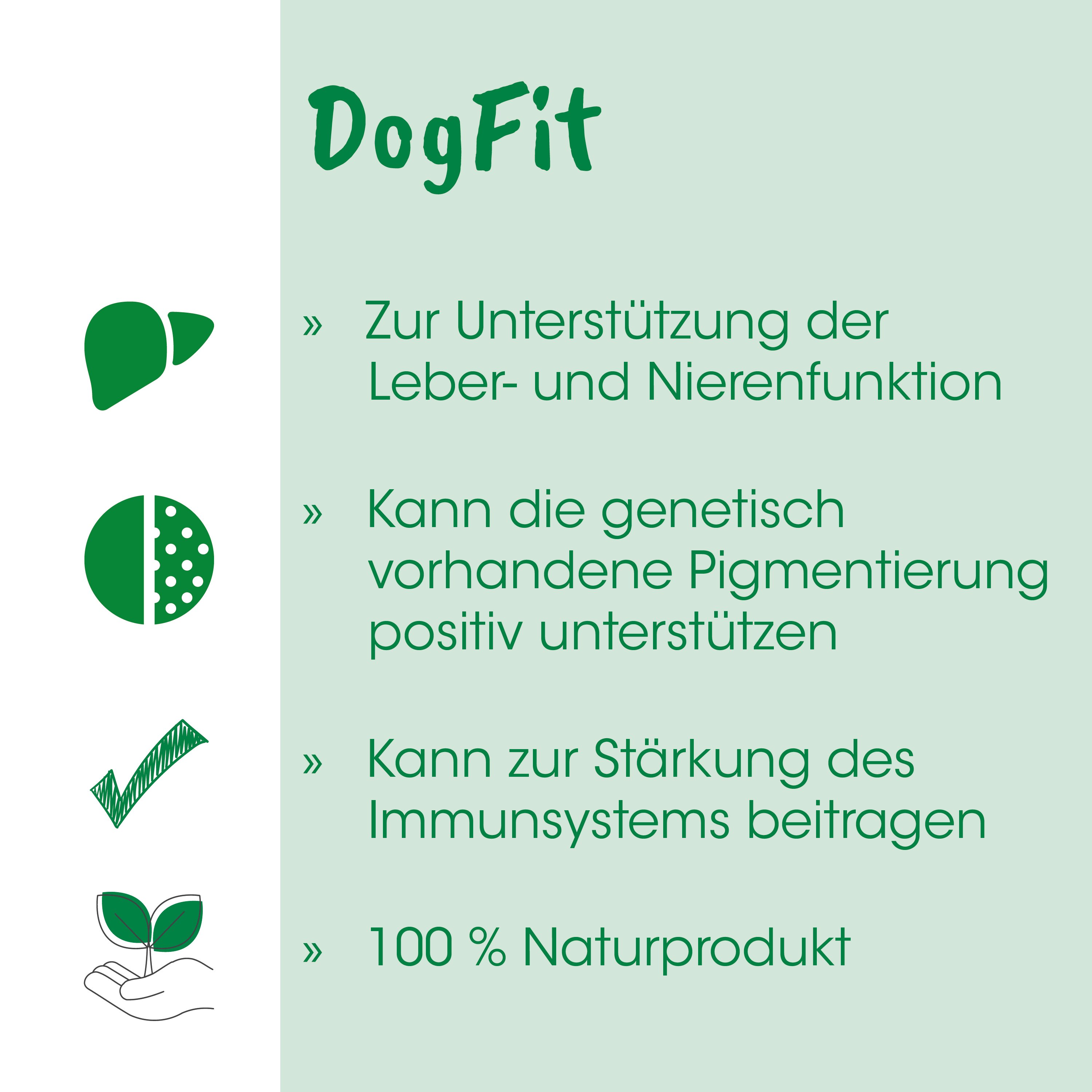 Hundefutter, Protein, Natürliches Produkt, grünes Häkchen, Pflanzen-Symbol