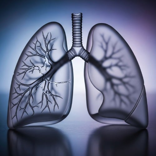 Hund, Säugetier, Haustier, Welpe, Schnauze, Hund, Husky, Haustier, Gras, Glas, Rauchrohr