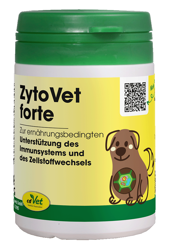 Kräuterig, Kräuter, Pflanze, QR Code