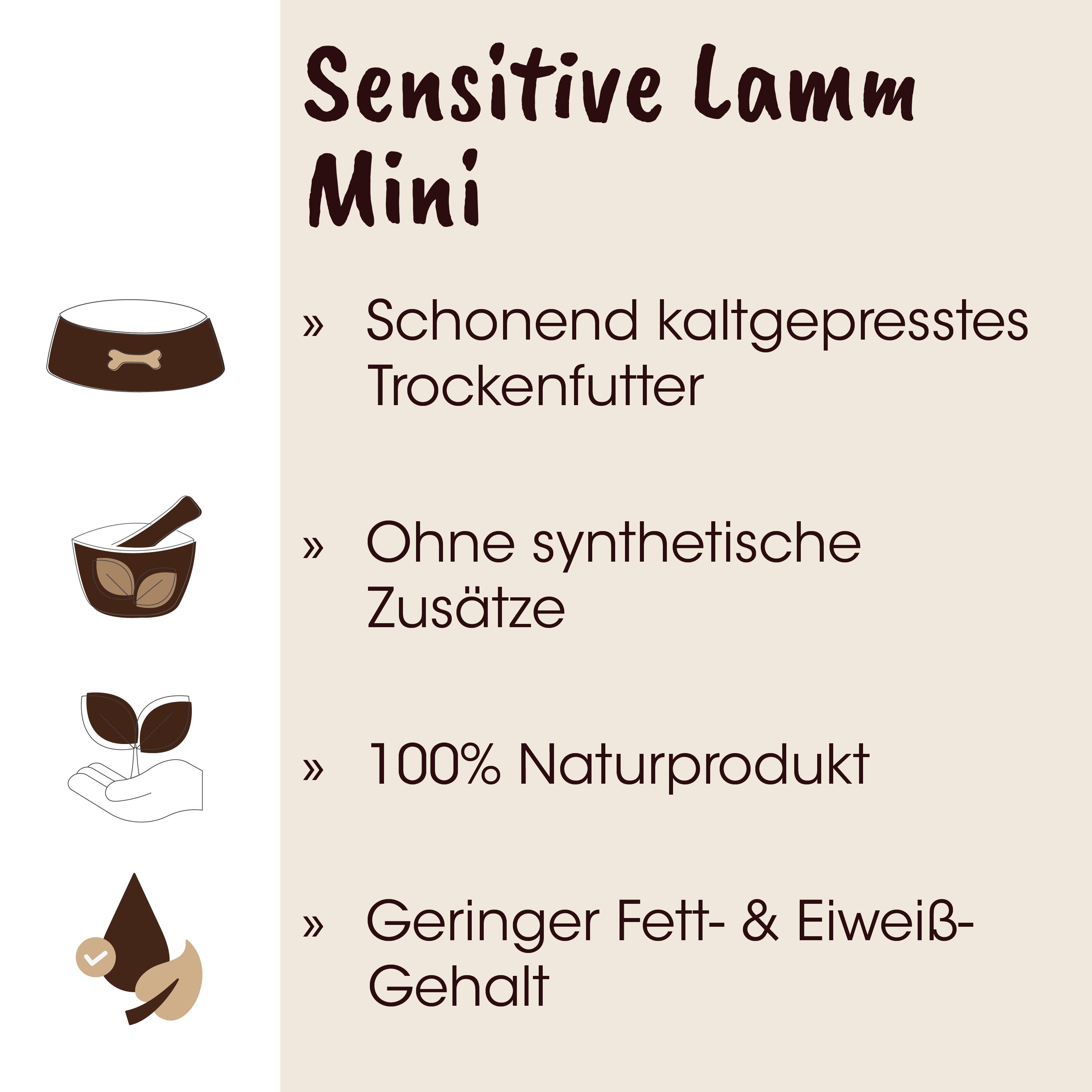 Hundeschüssel, Napf, Trockennahrung, Naturprodukt, Futterbecher