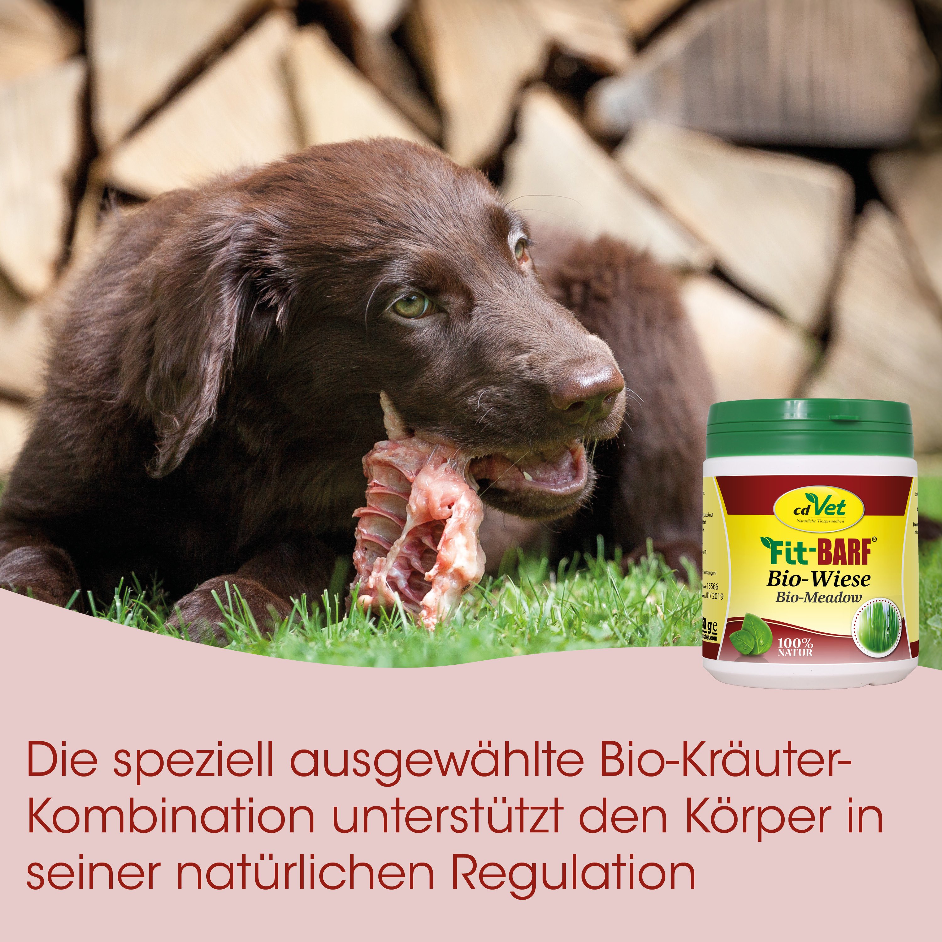 Hund, Kauspielzeug, Rindfleisch, Hundefutter, Bio-Kräuter