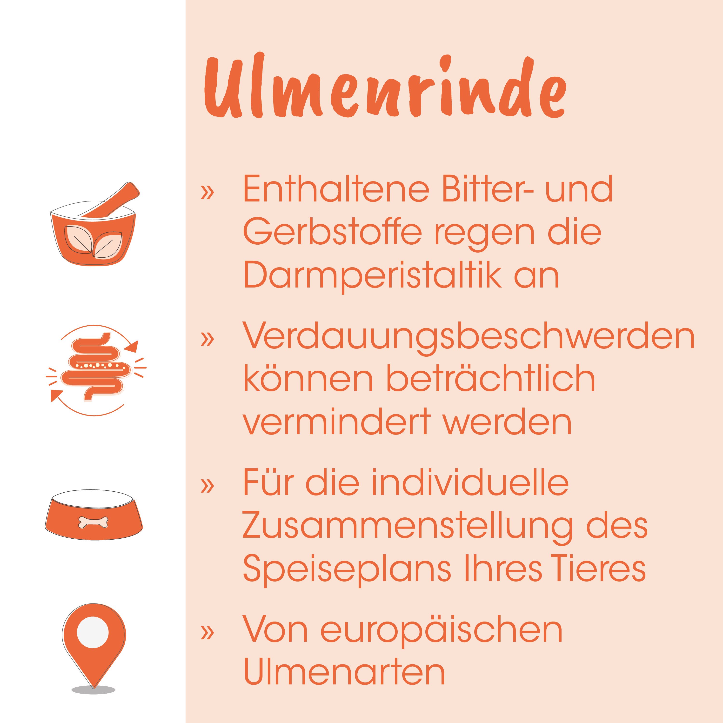 Ulmenrinde, Bitterstoffe, Gerbstoffe, Darmperistatik, Infotext