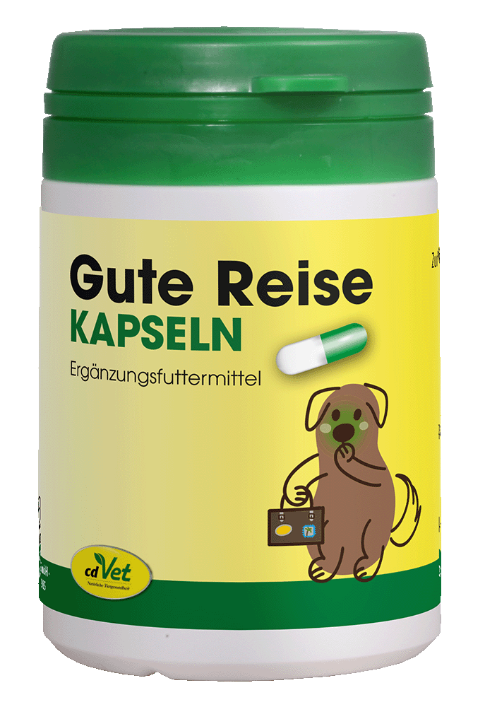 Gute Reise Gute Reise