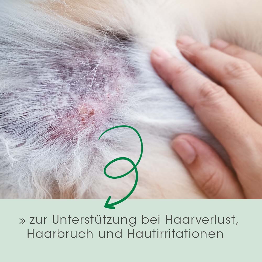 Hautverlust, Haarbruch, Hautirritationen, Tierhaar, Haarpflege