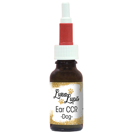 LunaLupis Ear CCR Dog