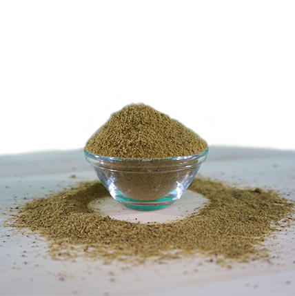 ArthroGreen Sport 700 g