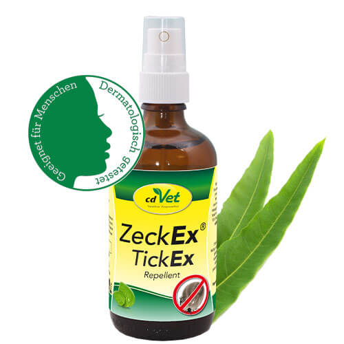 Hund-im-Urlaub_ProduktBanner-ZeckEx