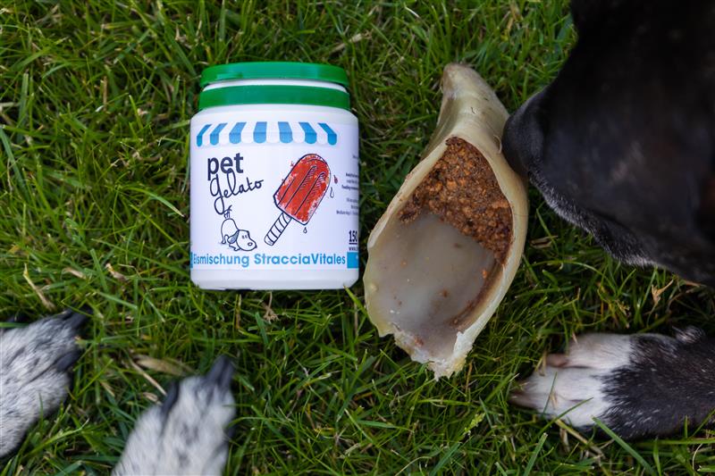 Gras, Pflanze, Können, Zinn, Obst