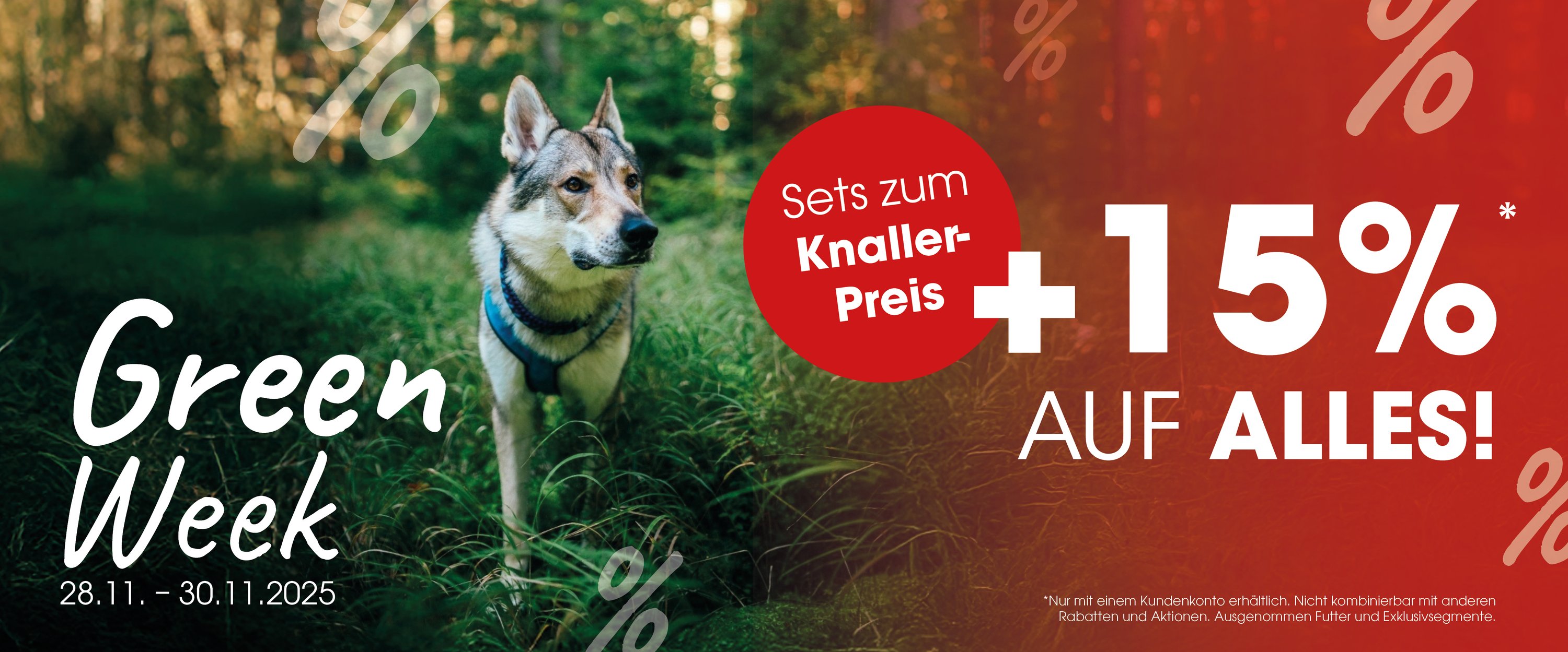 Hund, Husky, Haustier, Werbung, Plakat