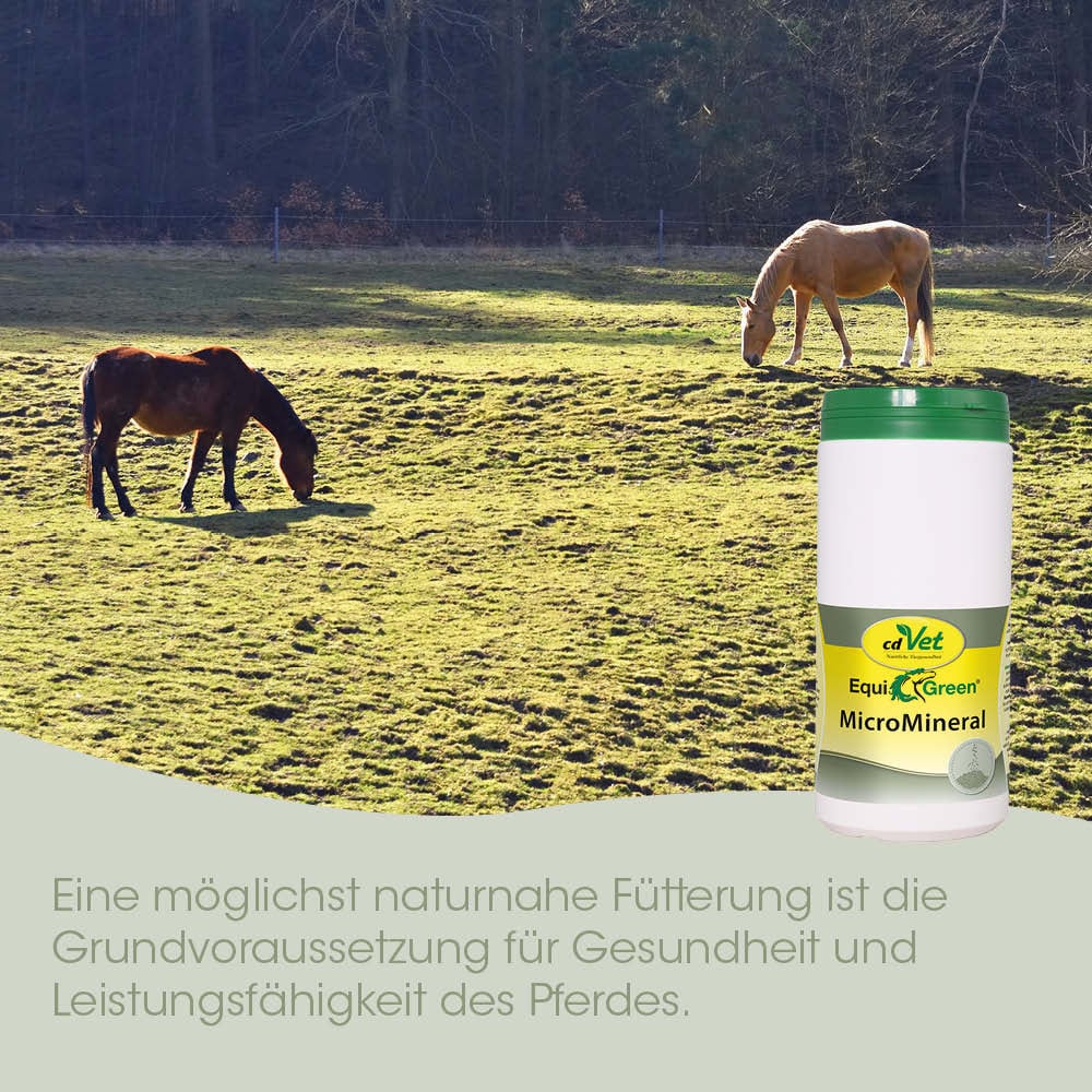 Pferdefutter, Mineralfutter, EquiGreen, Hülsenfruchtfrei, Pferd
