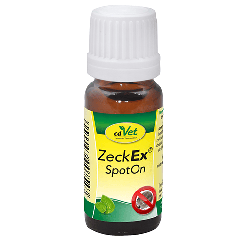 Essen, Würzen, Sirup, Kräuterig, Pflanze