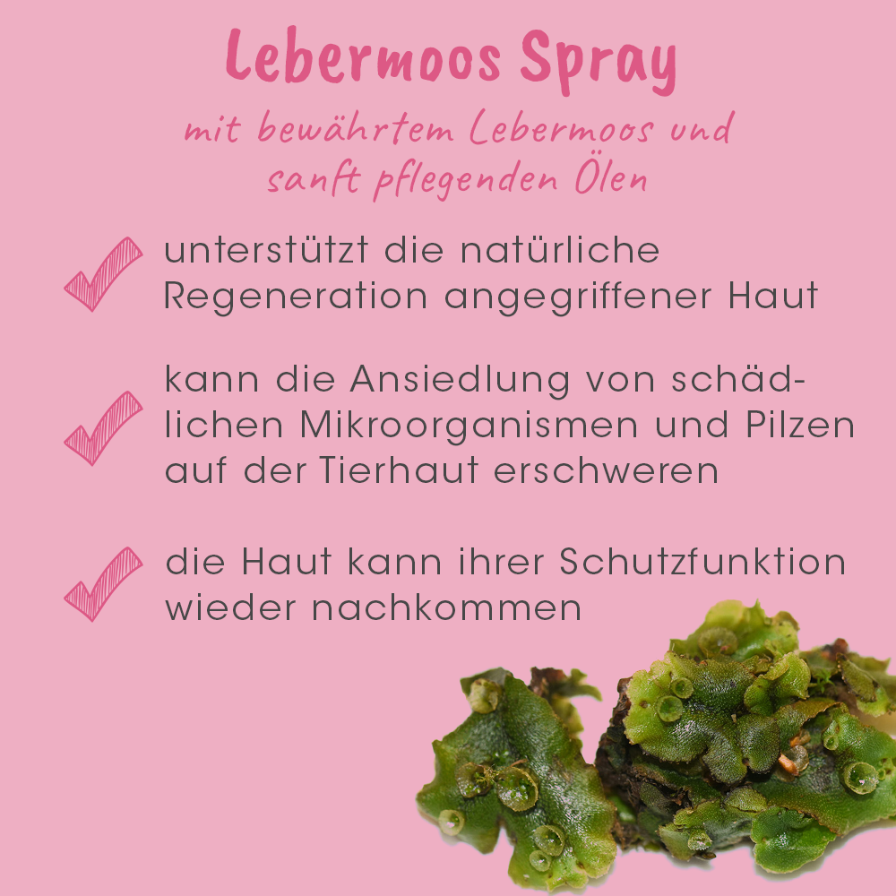 Werbung, Kräuterig, Kräuter, Pflanze