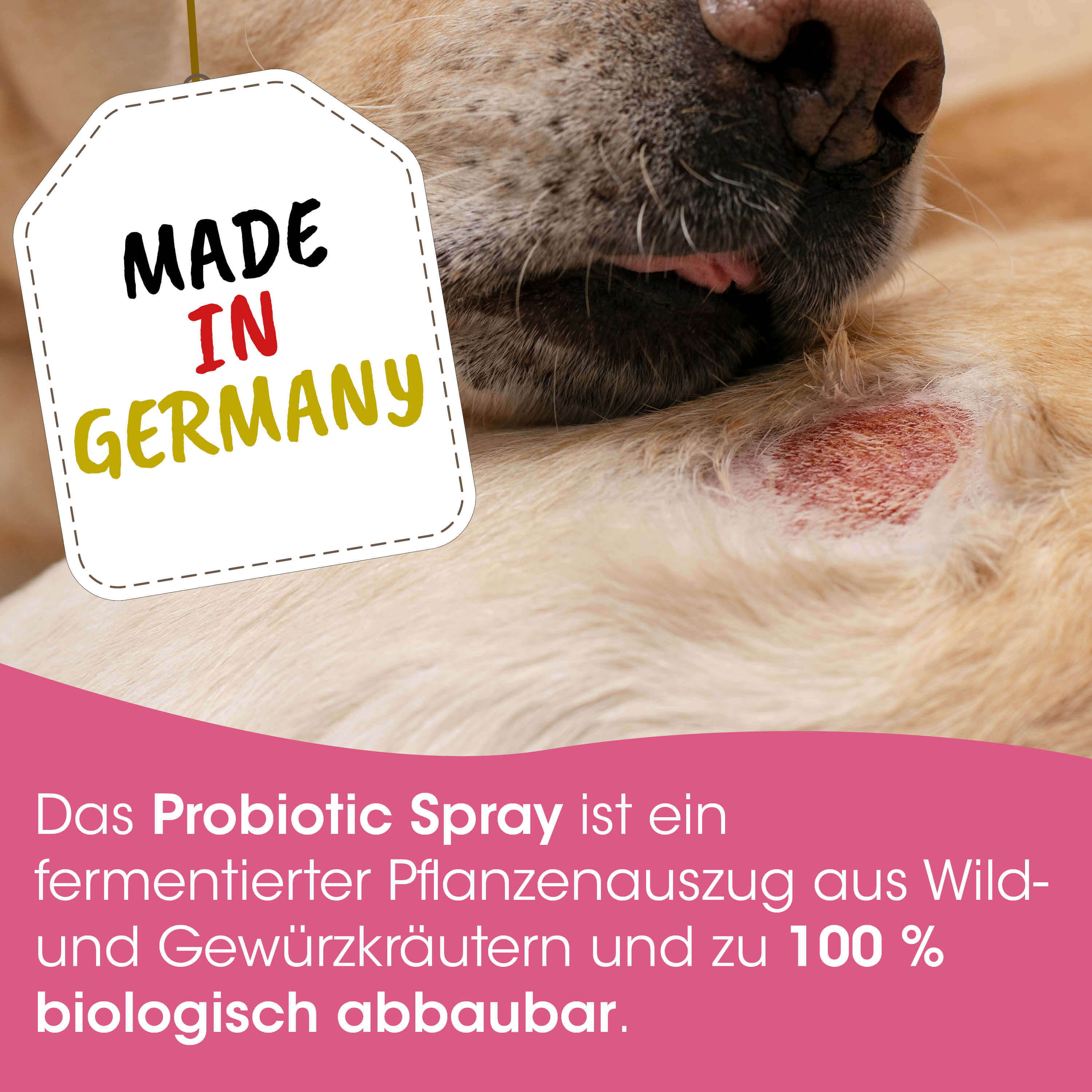 hund, hautveränderung, rote stelle, probiotischer spray, made in germany