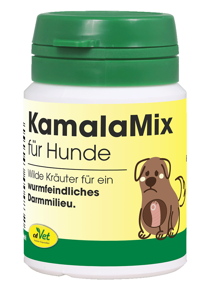 Kräuterig, Kräuter, Pflanze
