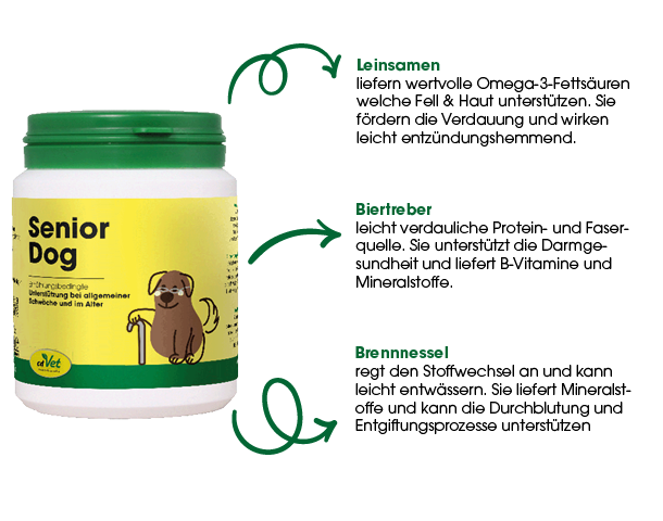 Hund, Senioren, Dog Nahrungsergänzung, Tiernahrung, Junge Erwachsene?, Seniorer Hund, Hundesupplement, Vitamin- und Mineralstoffe, Proteinquelle, Omega-3-Fette
