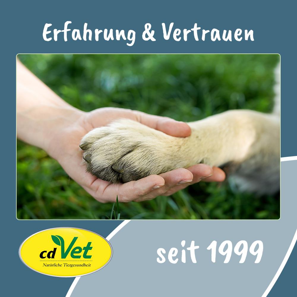 pfote hund, pfotenbaby, pfote in hand, tierpflege, vet logo