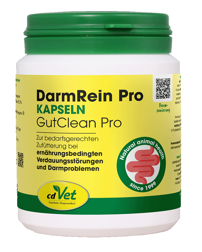 Kapseln, Darmrein, Probiotika, Tierarztbedarf, Hundeernährung, Kapseln, GutClean Pro, DarmRein Pro, Natural animal health, cdVet