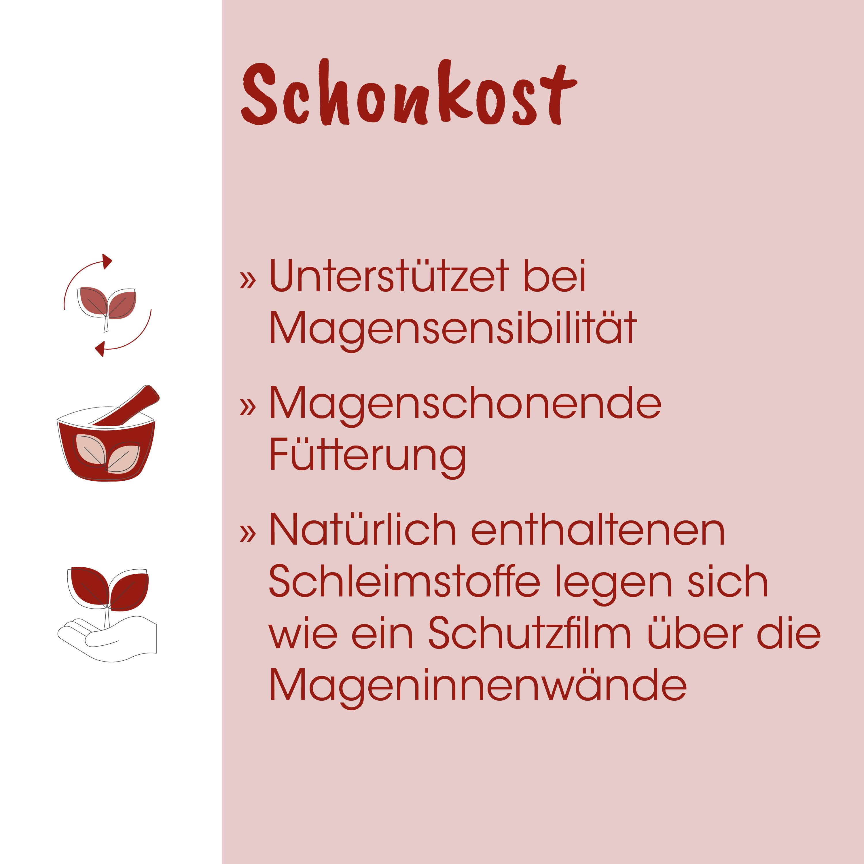 Schonkost, Magensensibilität, Magenfreundliche, Fütterung, Schleimstoffe