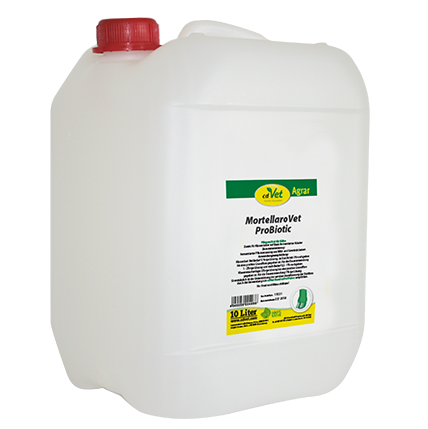 Kanister, Kunststoff, weiß, roter Schraubverschluss, 10-Liter-Behälter