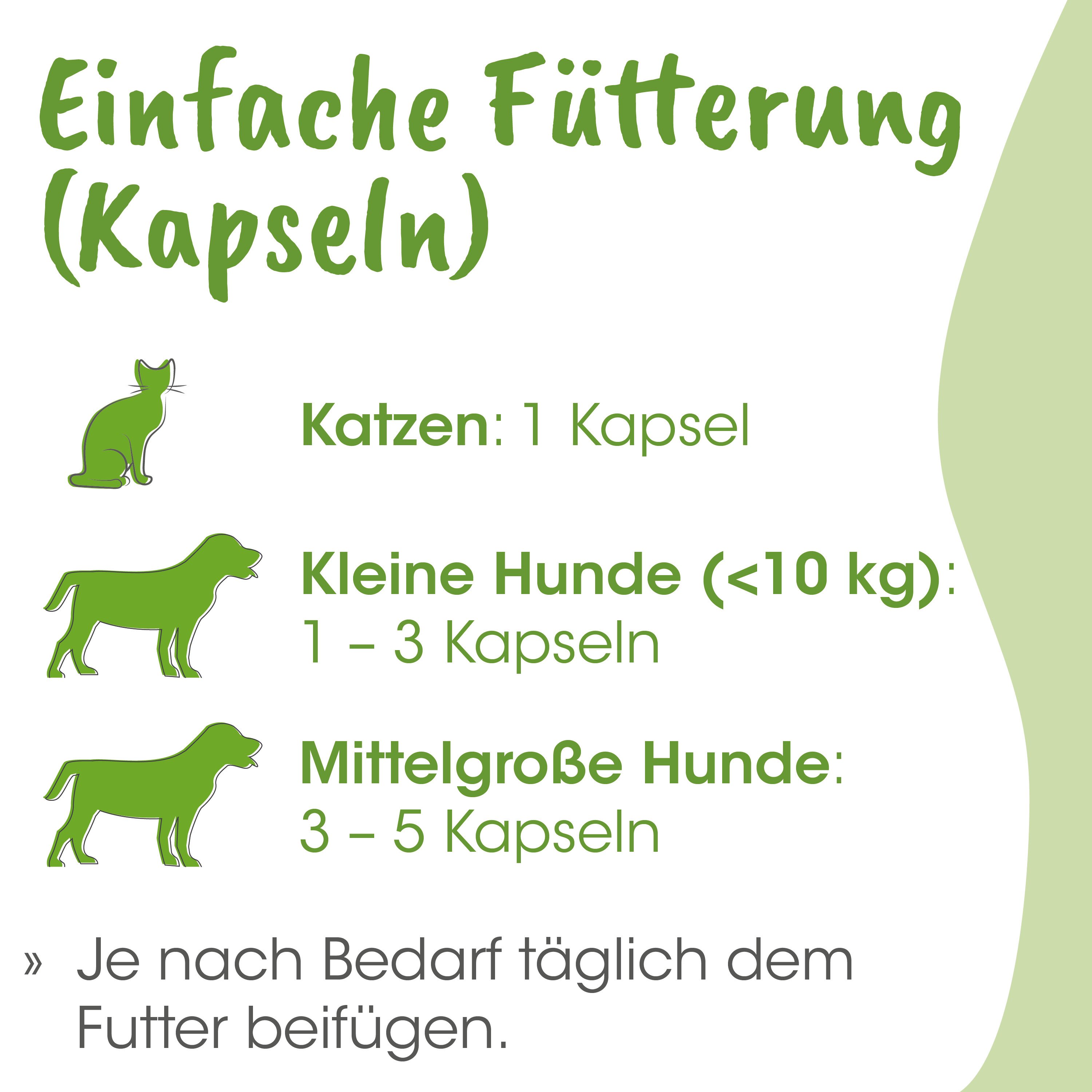 Futterung, Kapseln, Katzen, Hunde, Tierfutter
