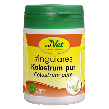 Essen, Ketchup, Kräuterig, Kräuter, Pflanze