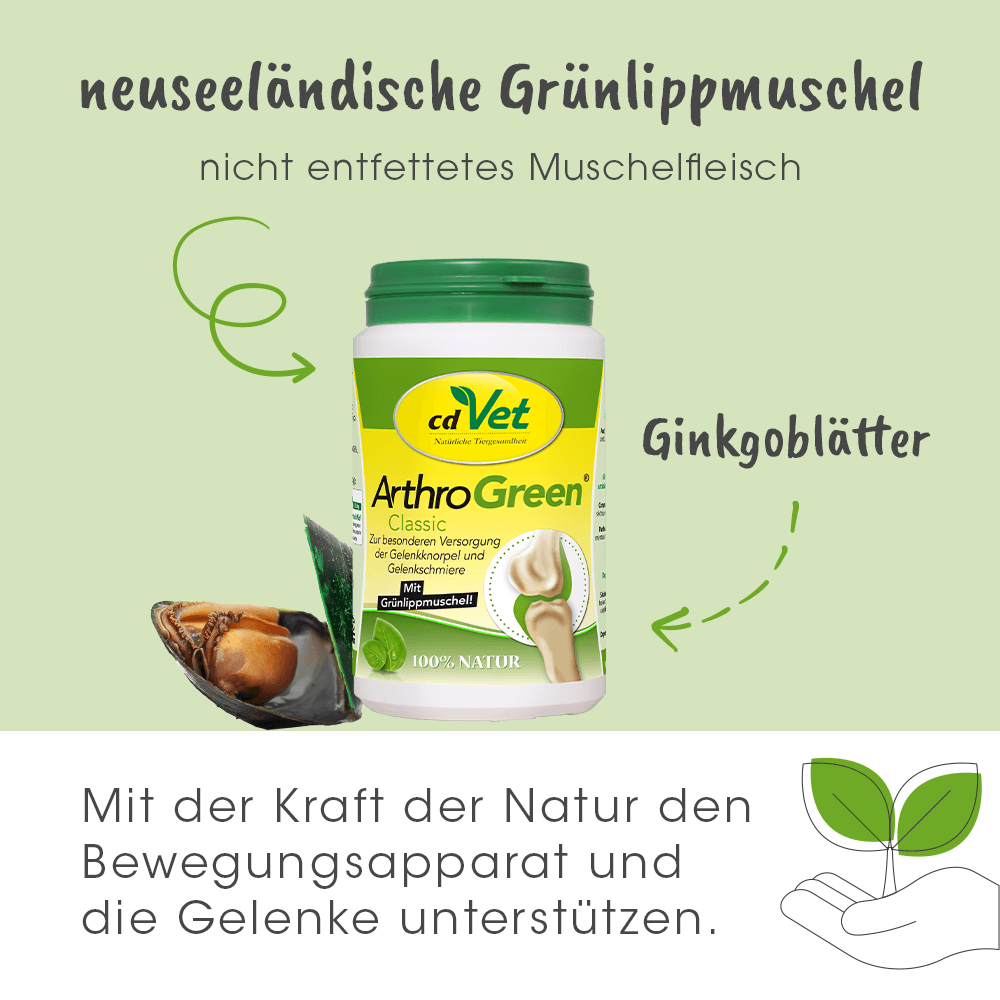 ArthroGreen, Gelenkpflege, Ginkgo, Naturprodukt, Muschel?