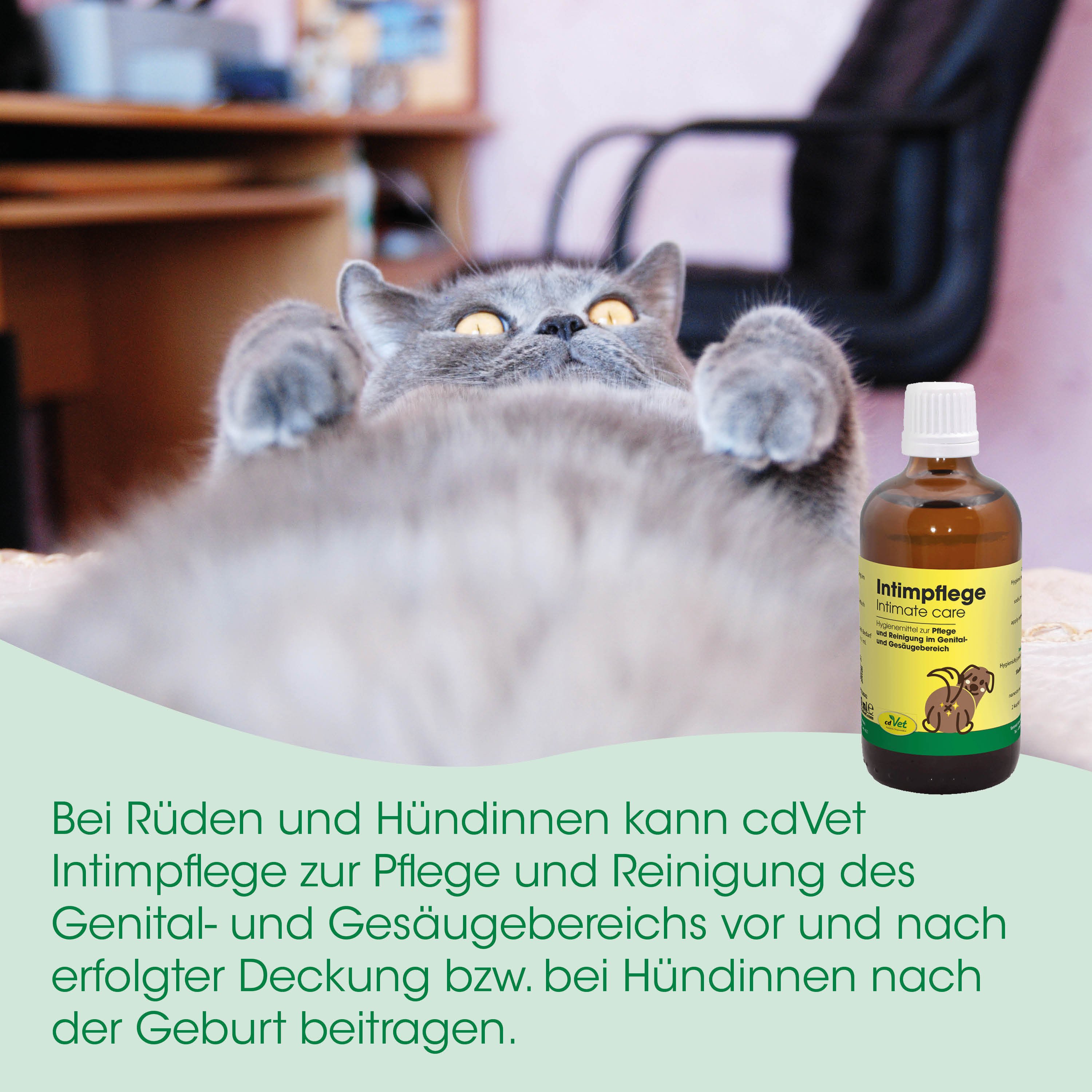katzenprodukt, intimpflege, tropfen, flasche, pflegeanleitung