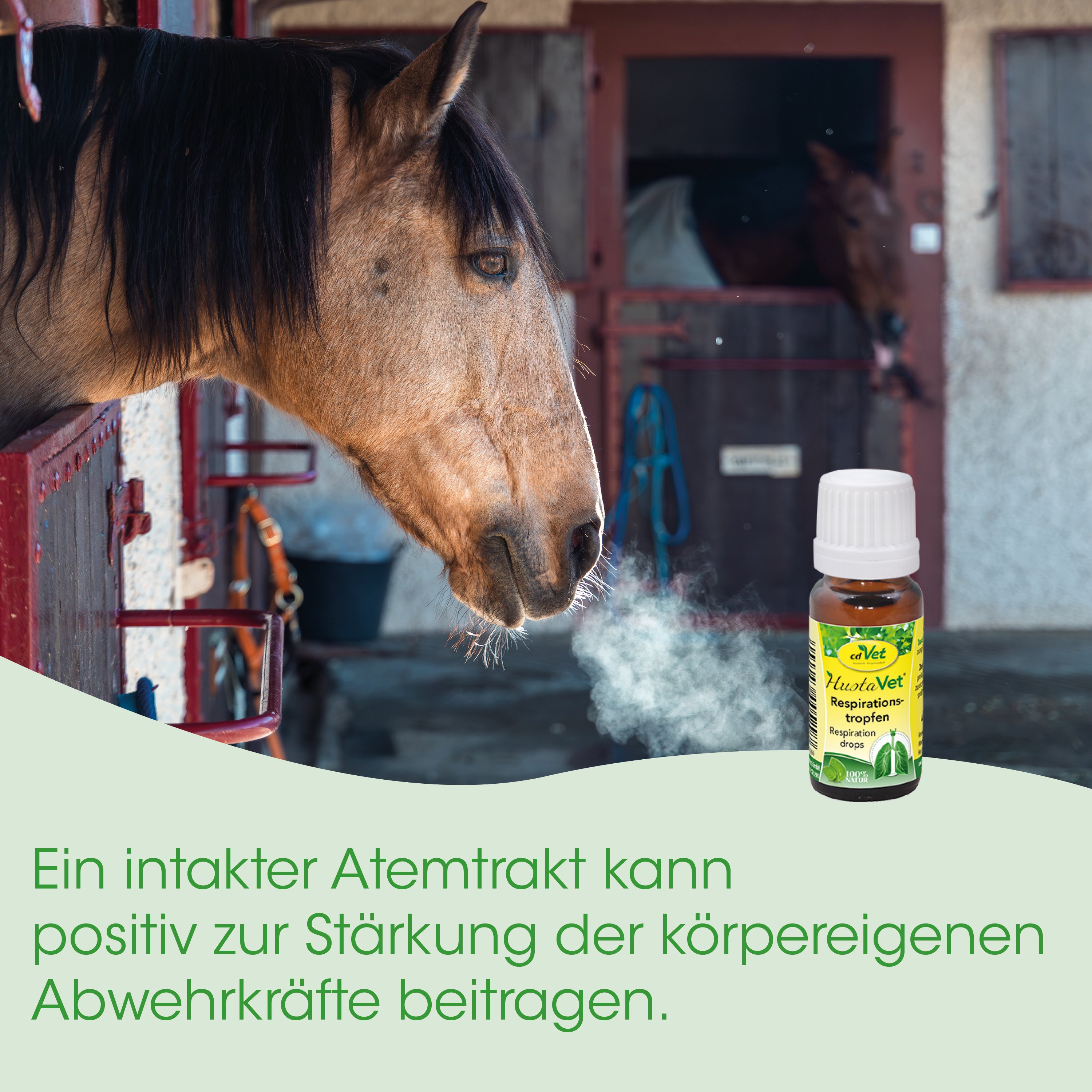 Pferd, Pferdekopf, Flasche, Injektionsflasche, Respiration Drops