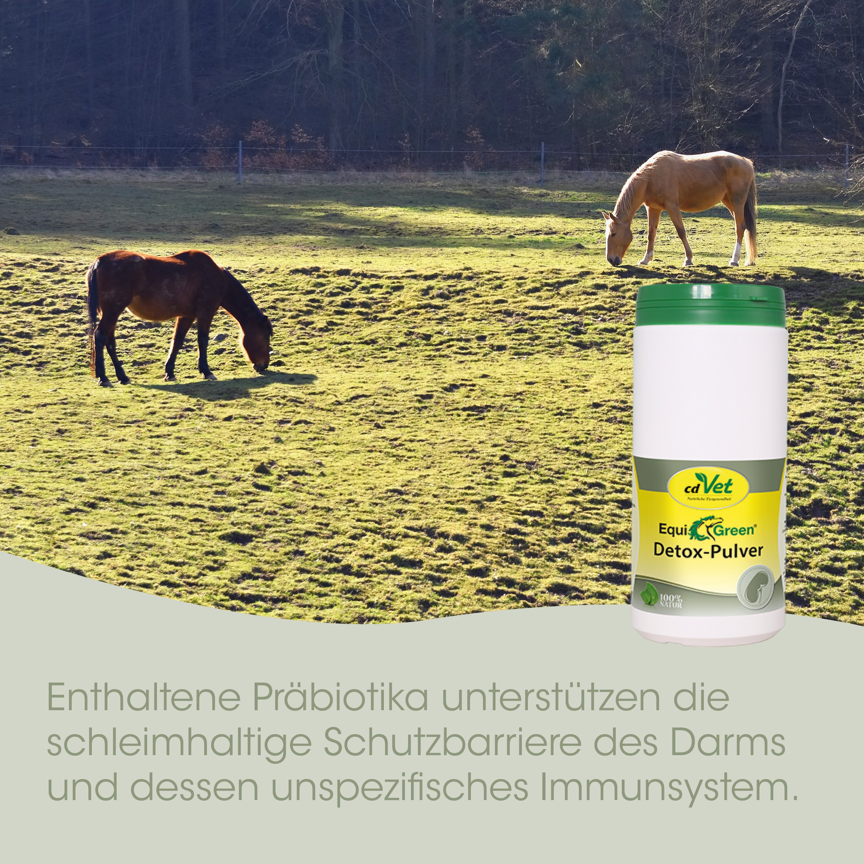 EquiGreen Detox-Poeder 2 kg