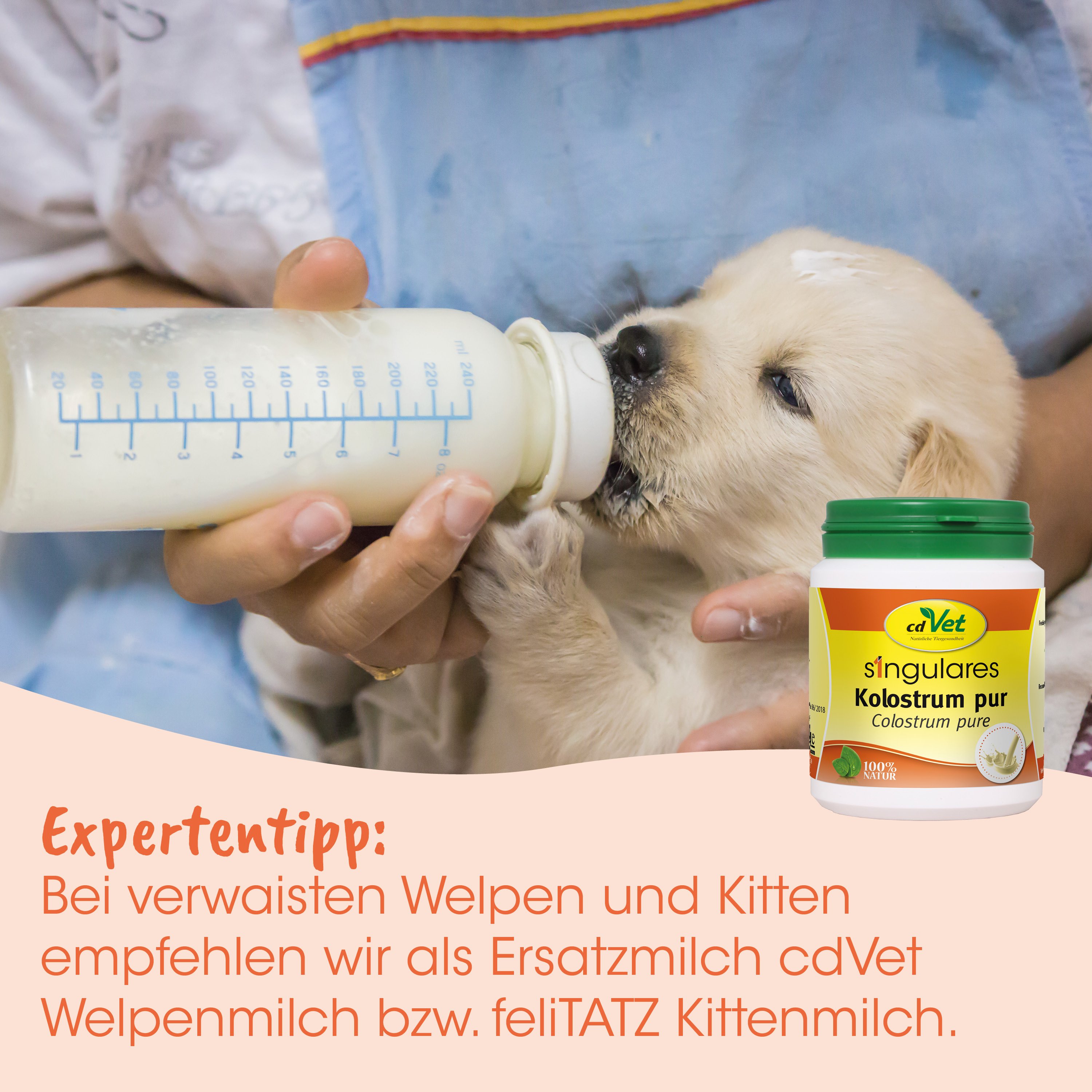 baby, puppy, Flasche, Fläschchen, Futter
