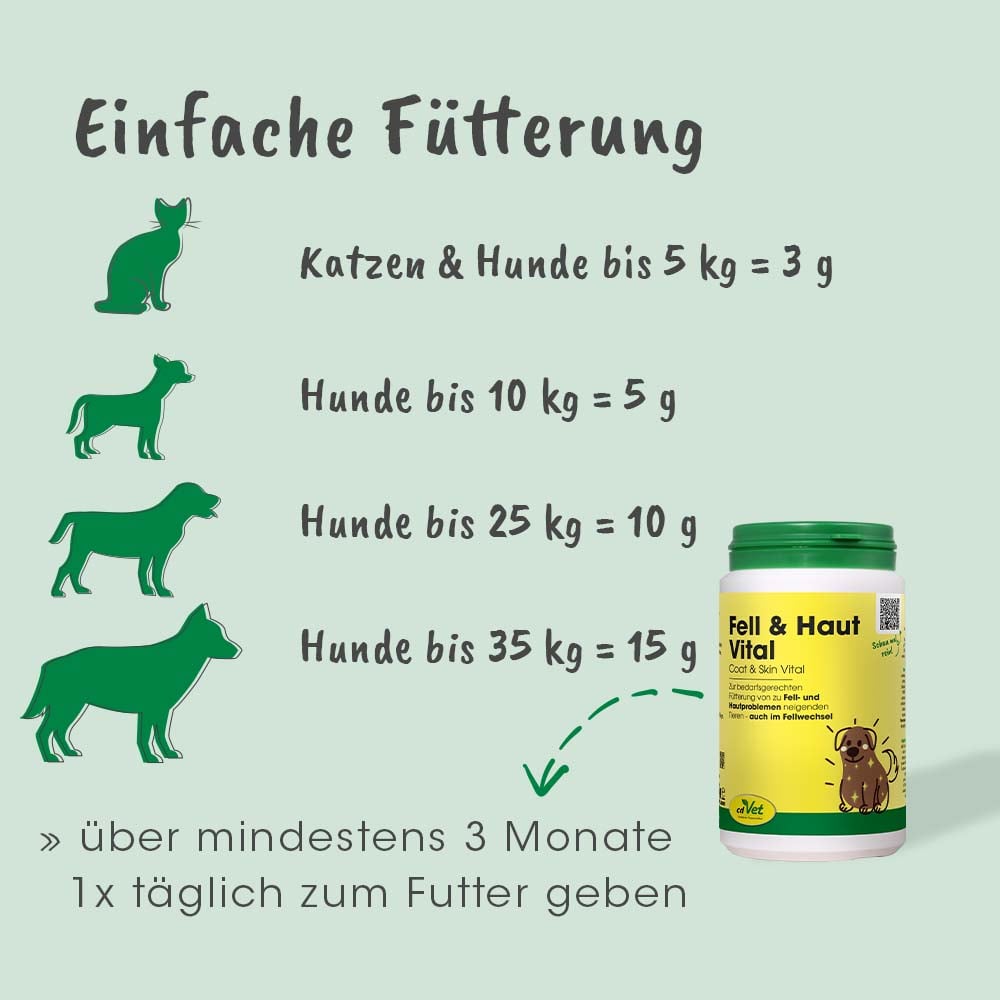 Kräuterig, Pflanze, Werbung, Bär, Hund