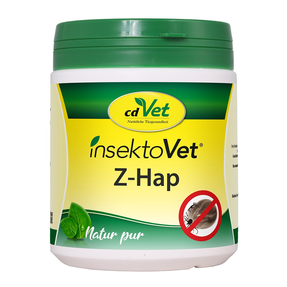 Kräuter, Pflanze