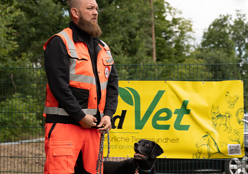 Weste, Rettungsweste, Erwachsener, Mann, Person