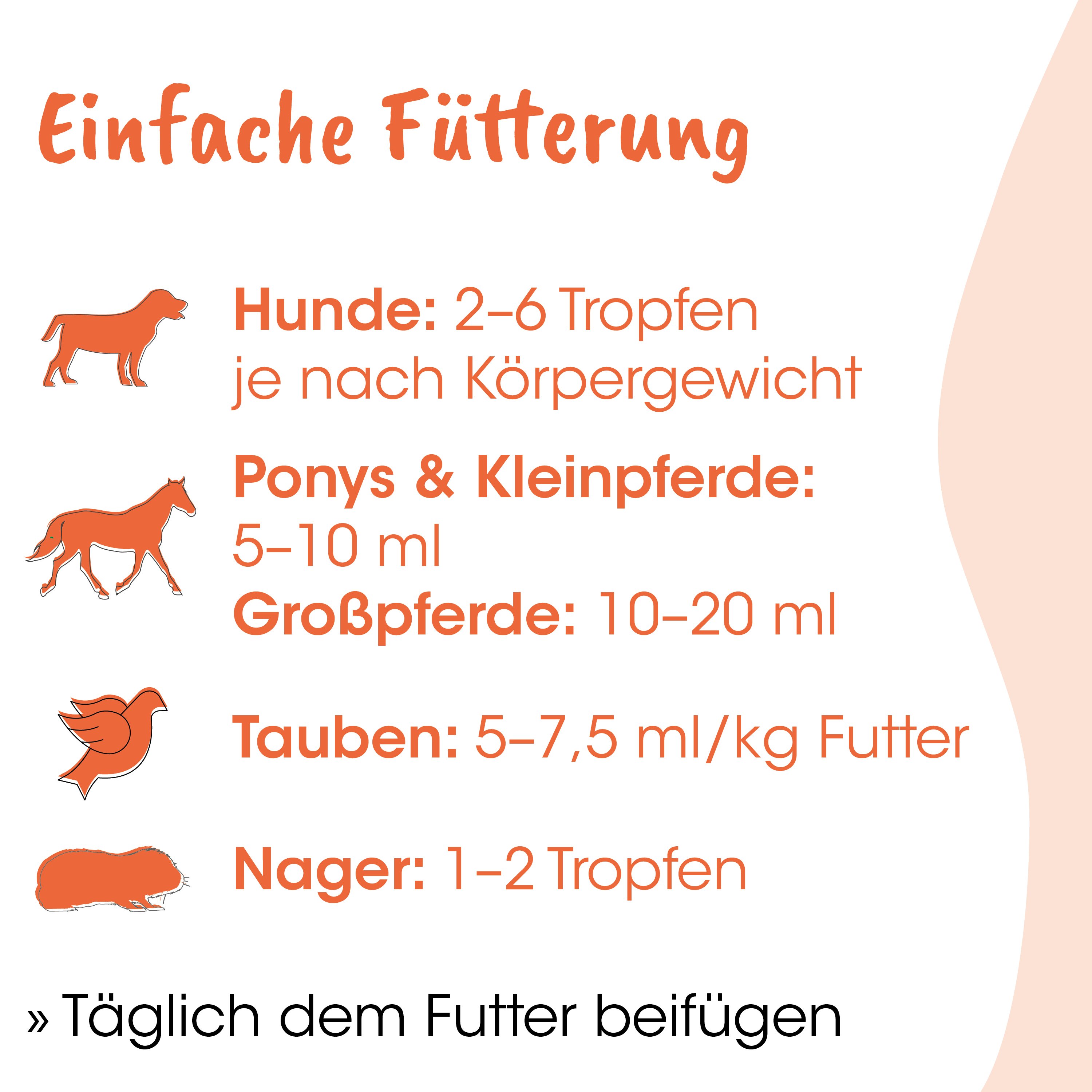 Hund, Katzenfutter, Hunde Futter, Tierfutter, Fütterung