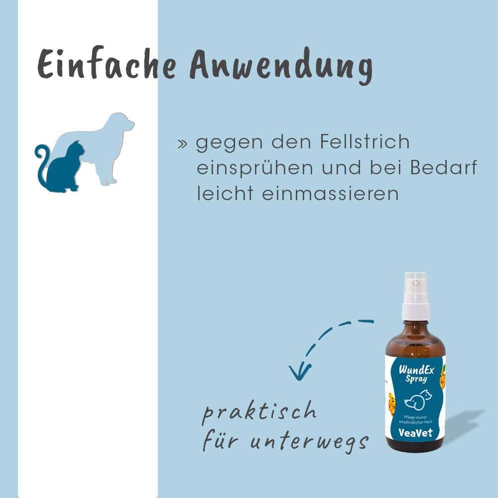 Werbung, Flasche, Bär, Tierwelt, Sirup