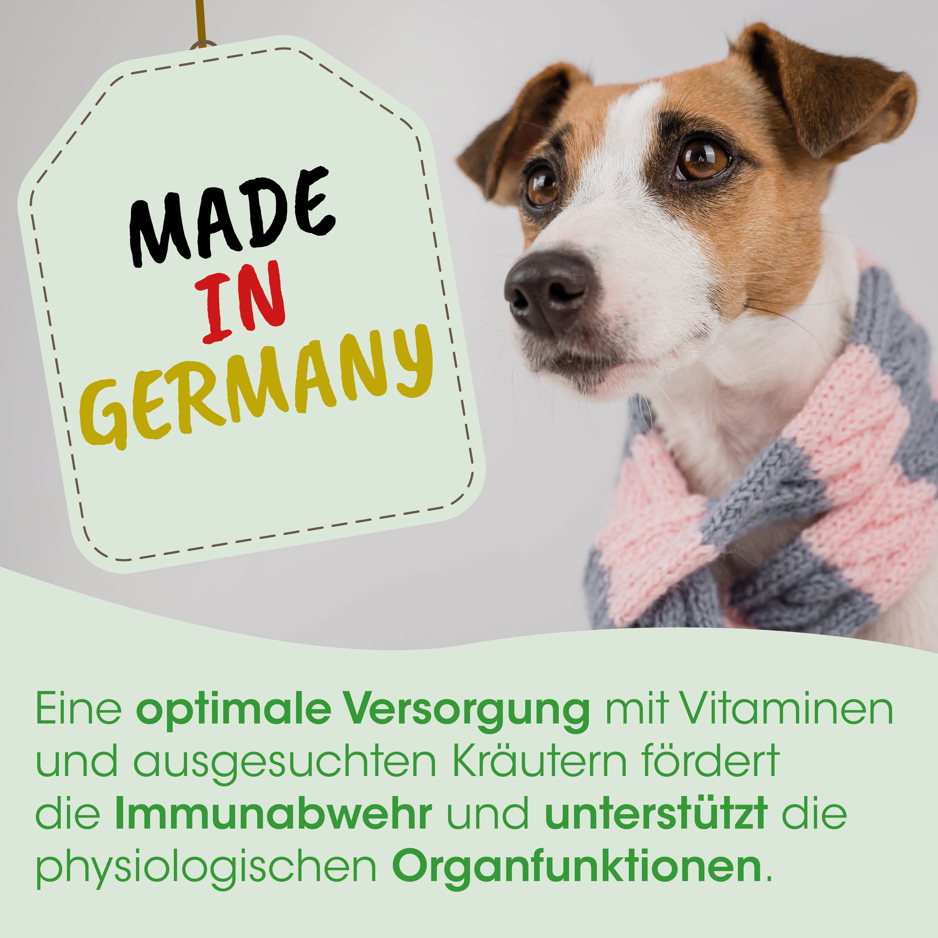 hund, jacke, gemacht in deutschland, text tag, werbetext