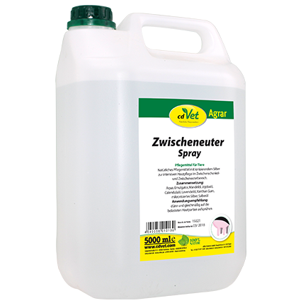 Essen, Würzen, Sirup