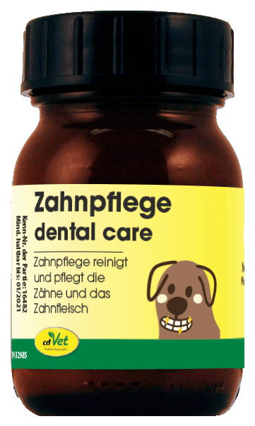 toothache?, No, image