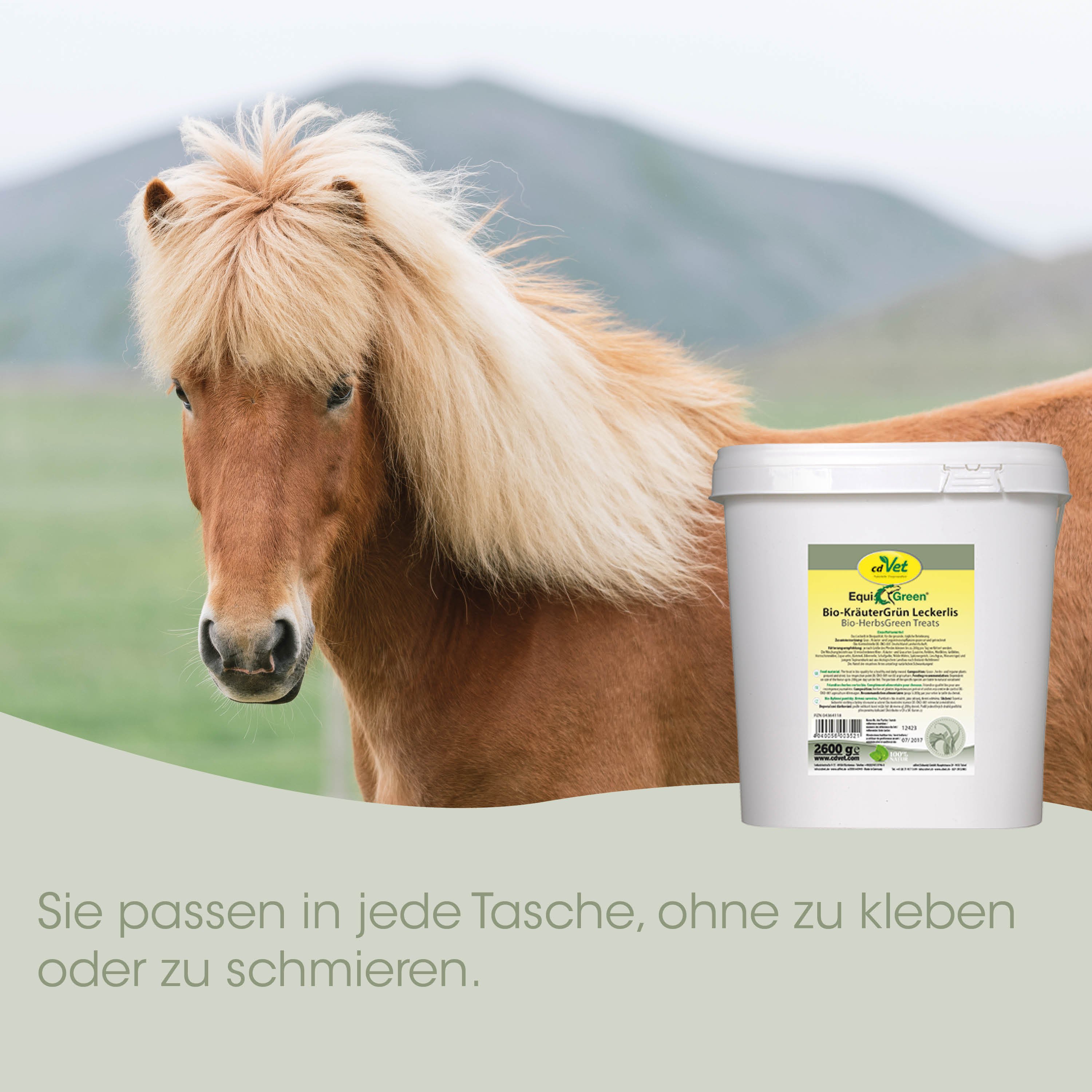 Pony, Hengst, Pferdefutter, Tierfutter, Kräuterleckerli