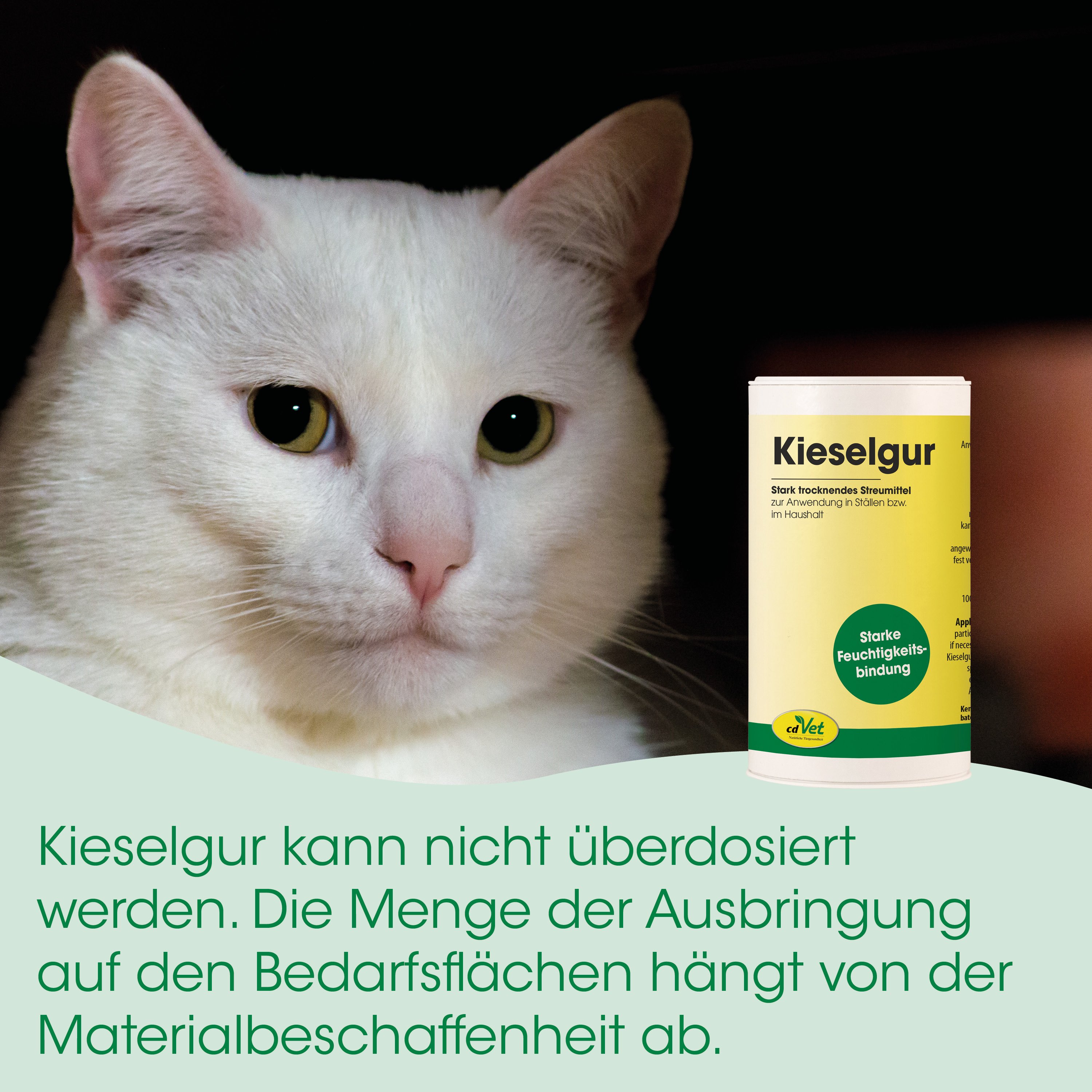 weiße katze, katze porträt, haustierprodukt, produkt dose, etikette flasche