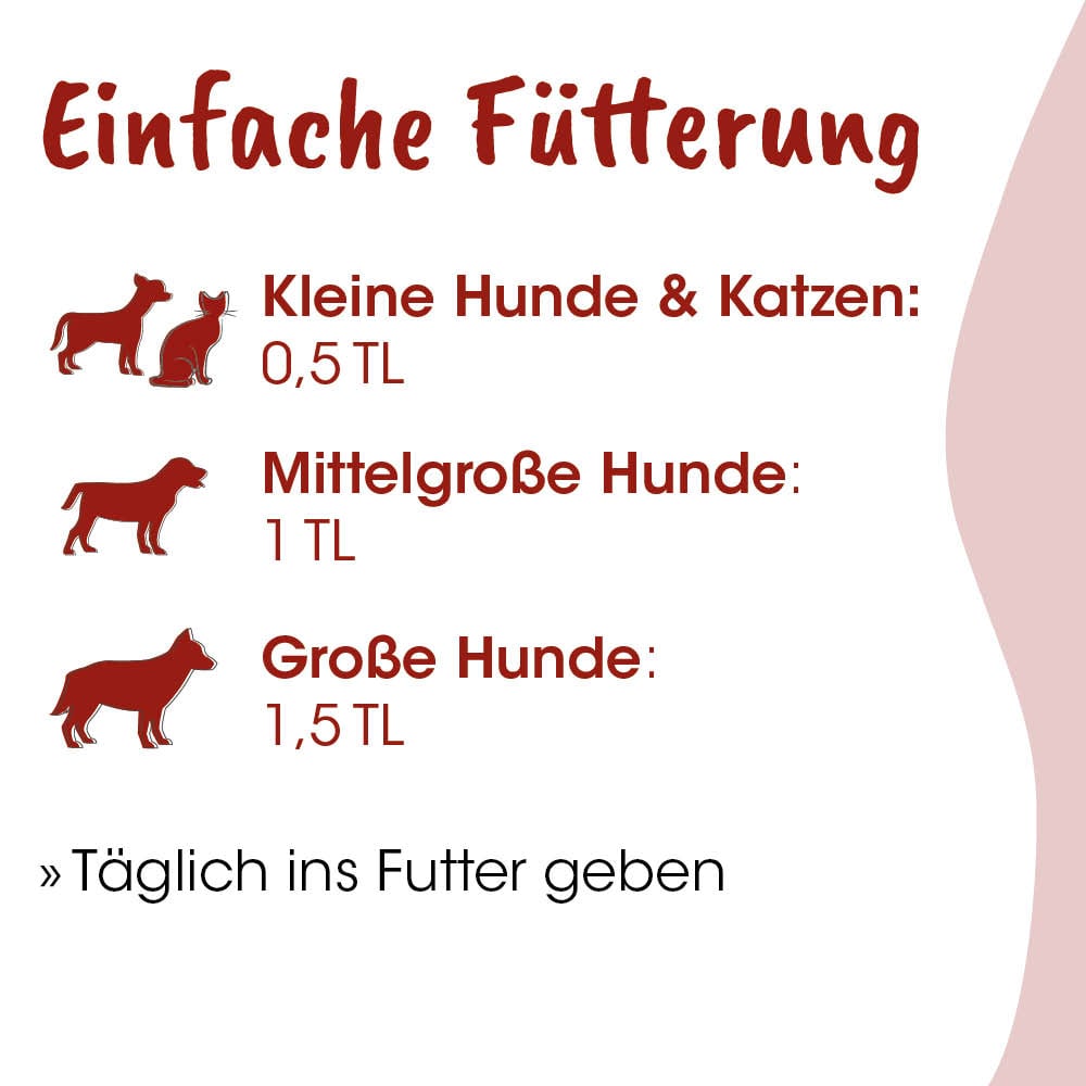 Hund, Katze, Futter, Futtermenge, Tierfutter