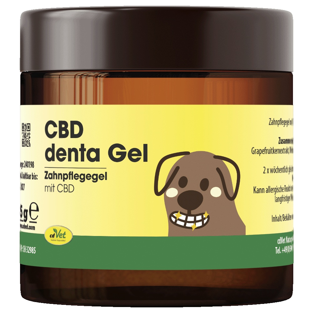 CBD denta Gel