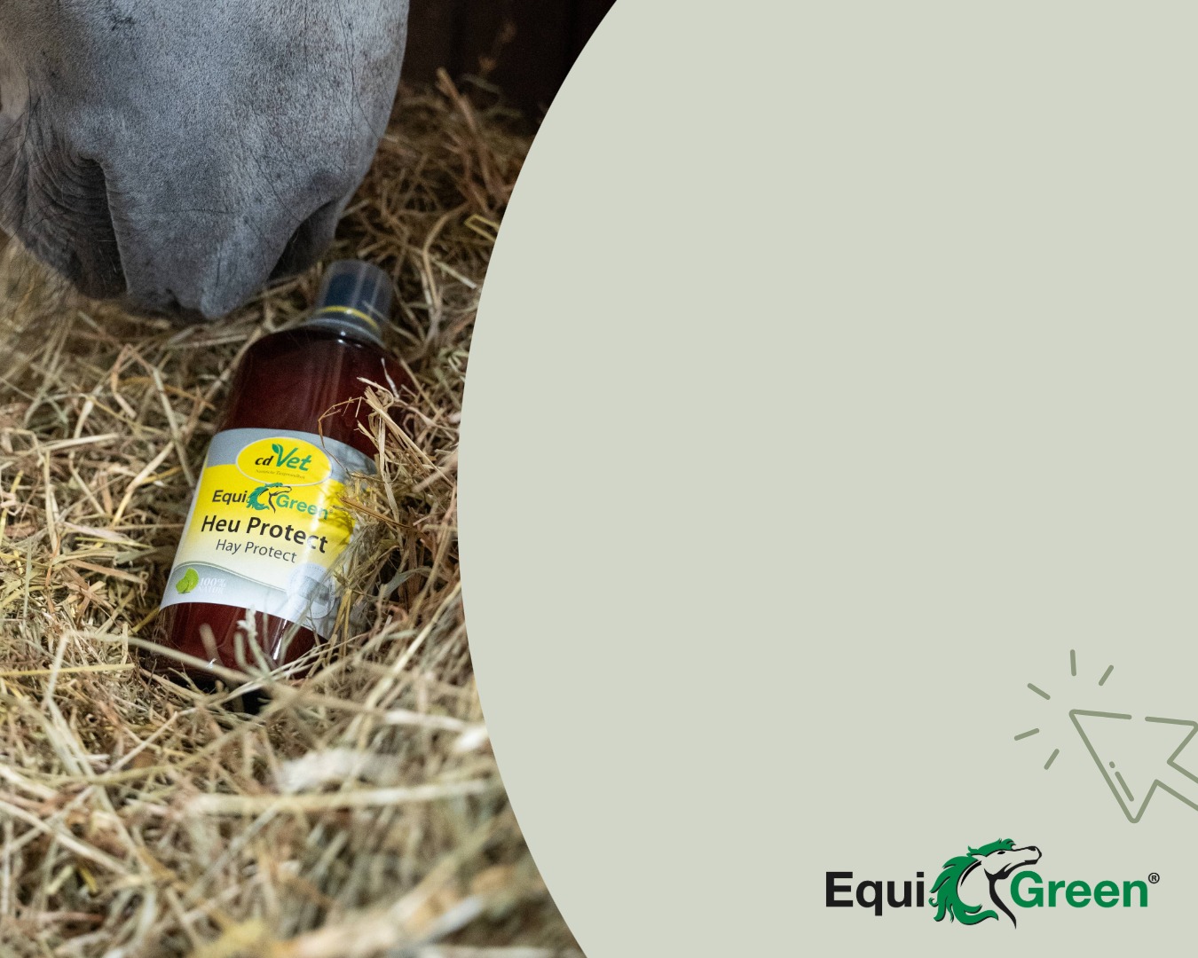 Flasche, Bier, Getränk, Säugetier, Schwein