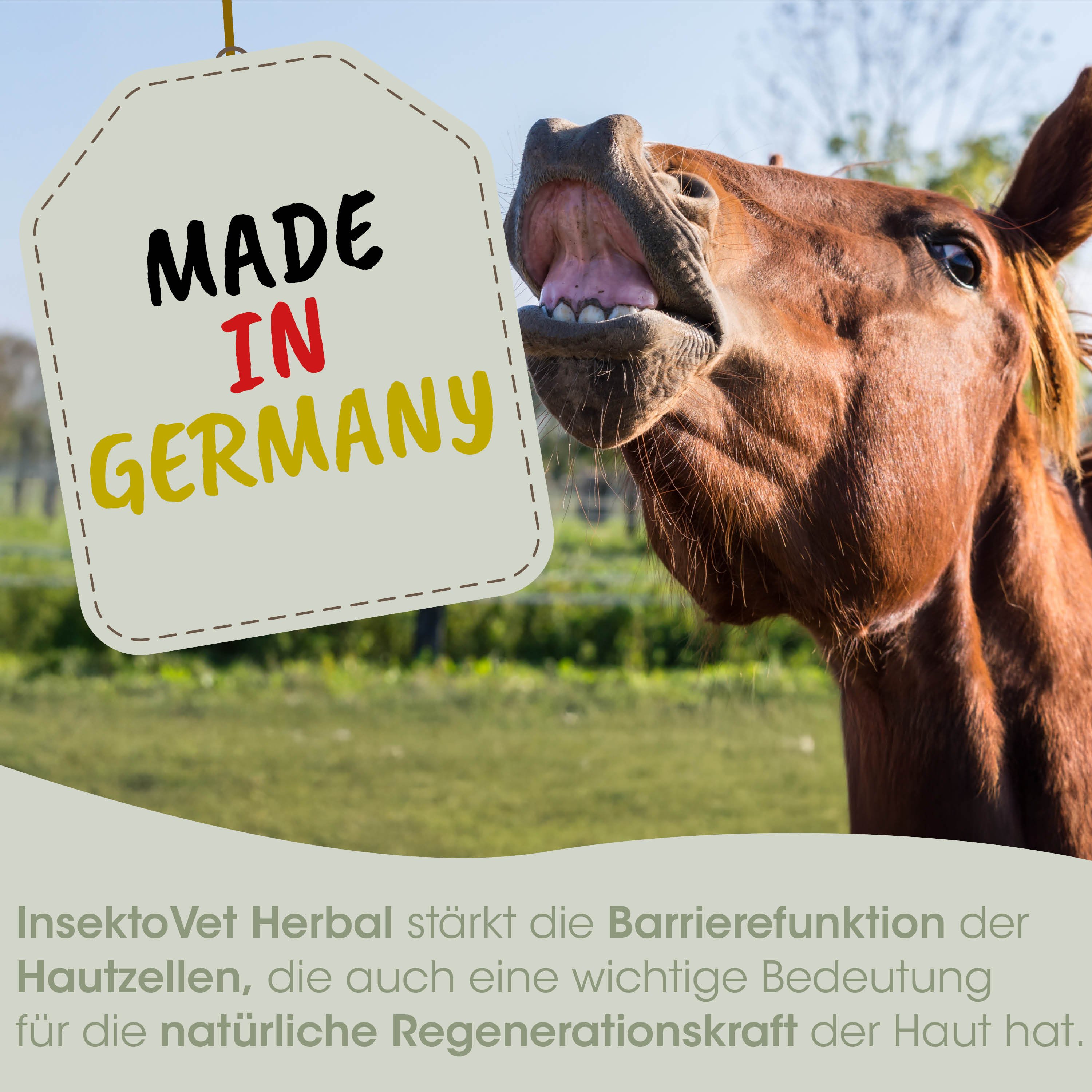 Pferd, Etikett, Hergestellt in Deutschland, Kraut, InsektoVet