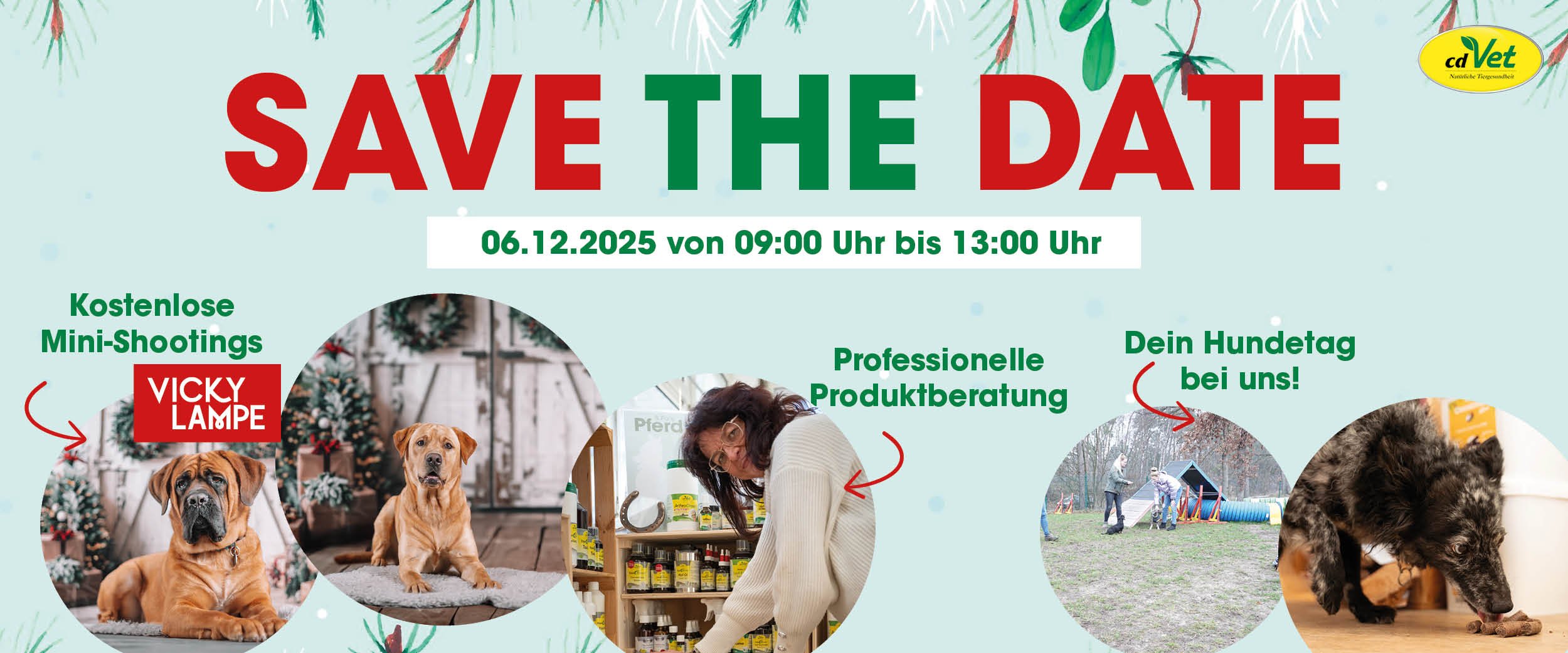 Jagdhund, Erwachsener, Weiblich, Person, Frau