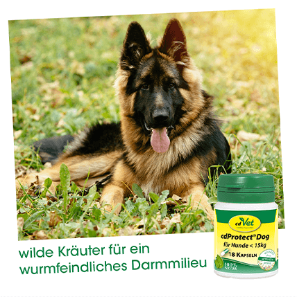 Hundekapseln, Kräuter, Nahrungsergänzung, Wurmkontrolle, Grüne Dose