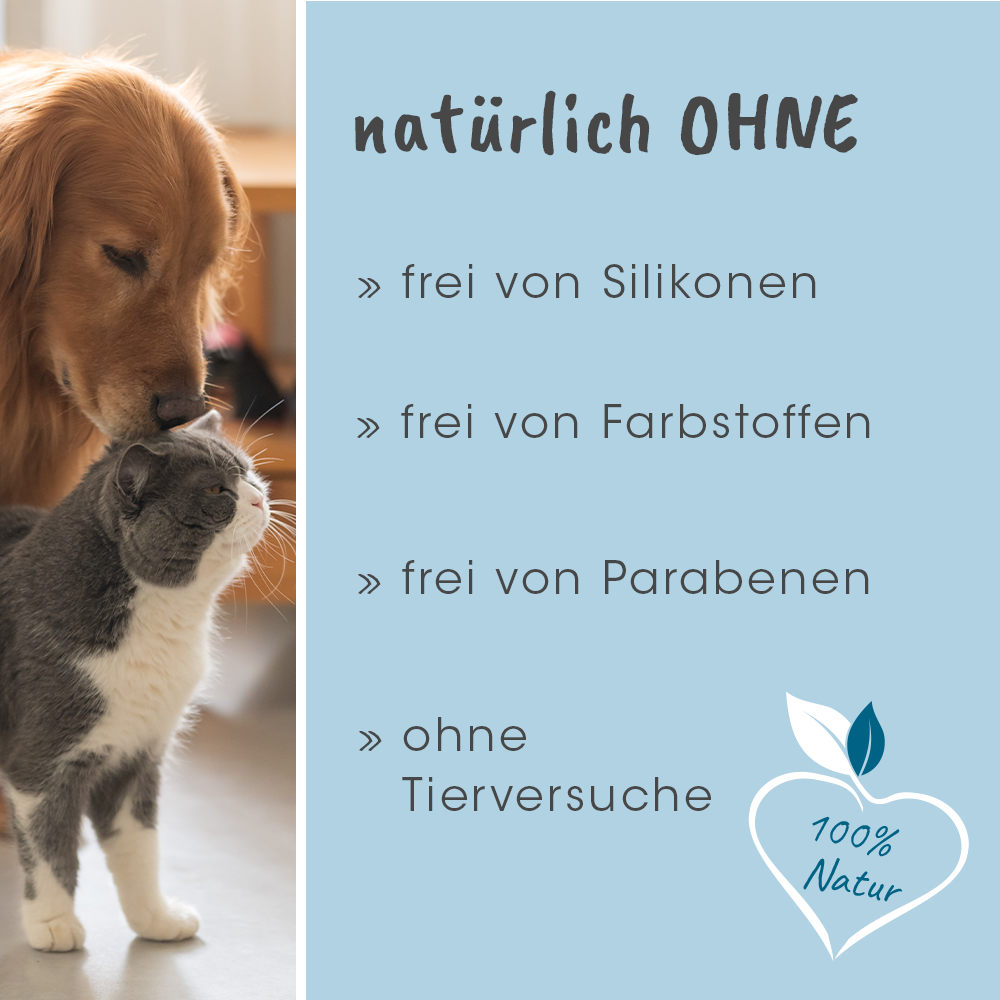 Hund, Haustier, Katze, Plakat, Welpe