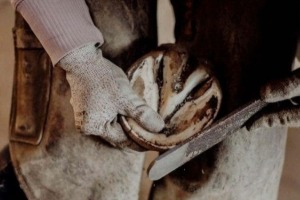 Bekleidung, Handschuh