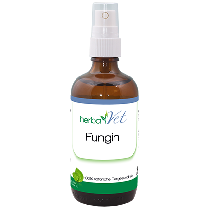 herbaVet Fungin 100 ml